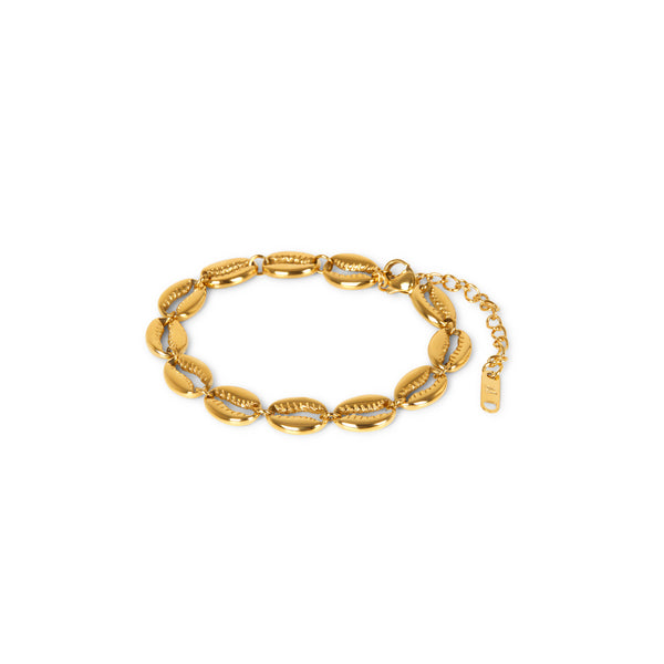 Muschelgliederkette Armband - Gold