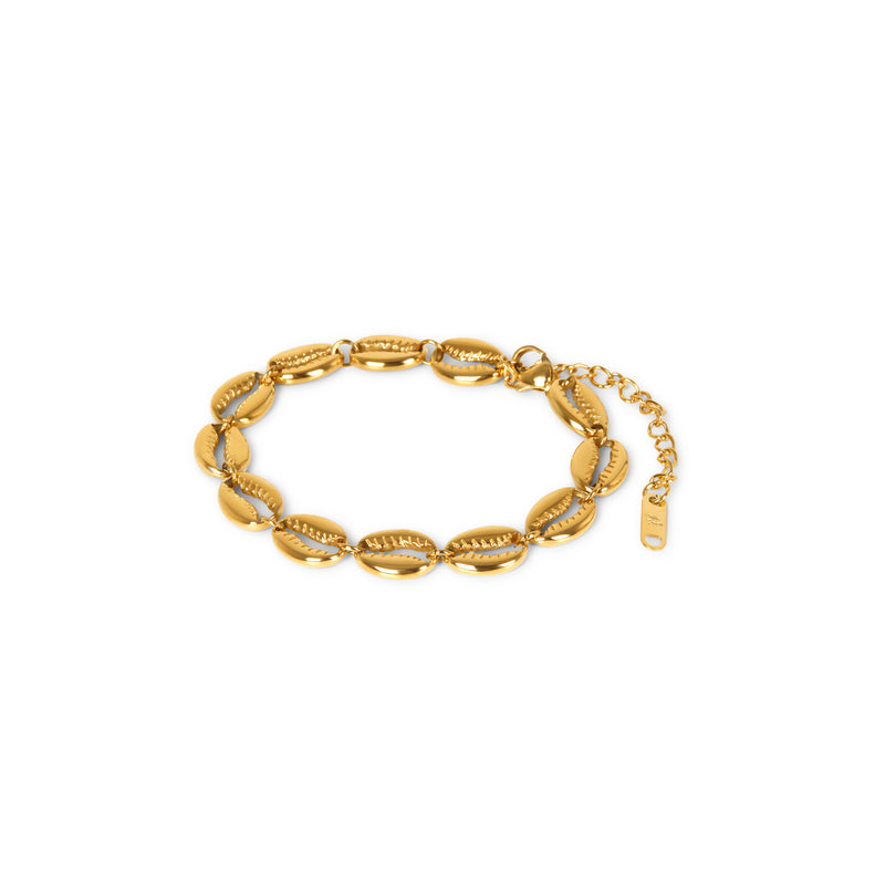 Shell Link Chain Bracelet - Gold