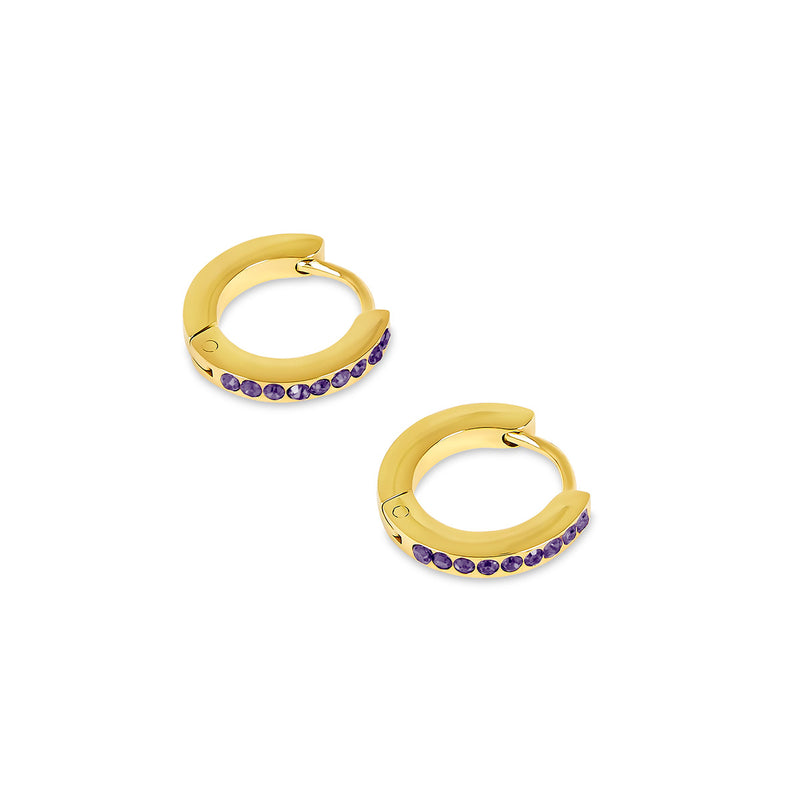 Birthstone Huggie Hoop Earrings - Gold (Select Your Birthstone!)