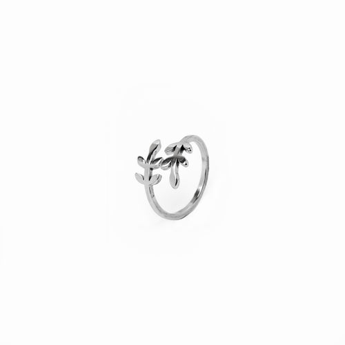 Kranzring – Silber